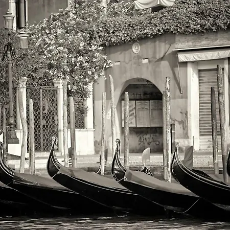 Ca Dama Del Pozzo Apartment